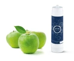 Grohe Piezas De Recambio - Filtro Intercambiable 2600 Litros 40412001 -Cocina Artículos Tienda 9912d323f453cea5f048cf4d